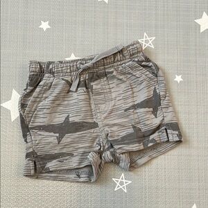 BOGO Tea Collection - 🦈 Knit Shorties, 12-18 months